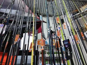 很多釣魚人追求國外的品牌漁具,也許只能怪中國漁具不爭氣